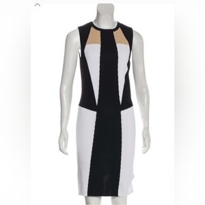 TORN BY RONNY KOBO COLORBLOCK SLEEVELESS DRESS SIZE LARGE NWT